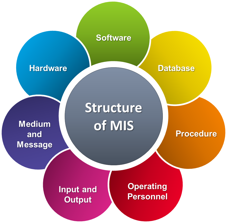 management information system